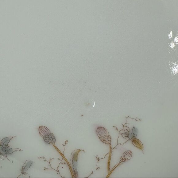 Leonard Vienna Austria Blue Yellow Floral Design Fine China 10” Dinner Plate - Picture 5 of 11